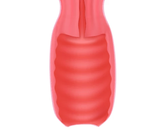 비비브 시술 전