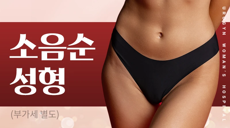 소음순성형수술 이벤트 - 미-세-조-각 소음순성형